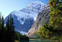 天涯论坛的老用户速看！新手如何注册激活天涯论坛账号，一起天南海北无所不谈！