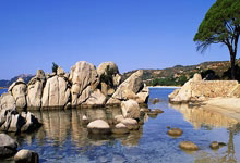 天涯论坛神贴：极品天意玩家的大神操作